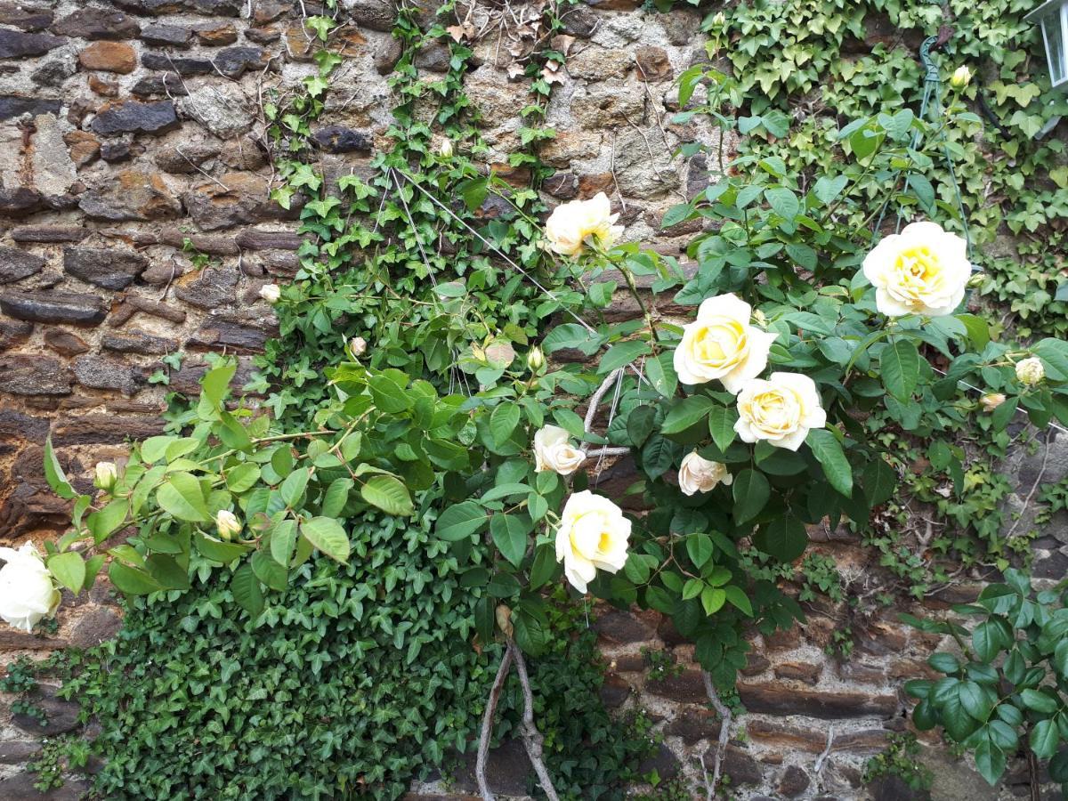 La Maison D'Hotes De Constance 勒芒 外观 照片